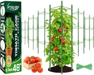 Tomato Trellis for Potted Plants