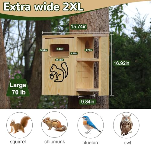 with Squirrel Feeder