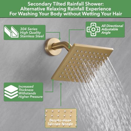 Ceiling Mount 10 Inch Shower Head Increased Thick