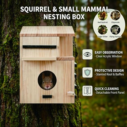 Outdoor Large Wooden Dual Balconies Squirrel Box