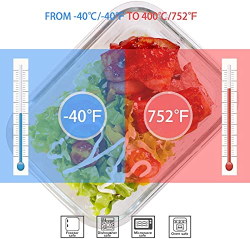 BPA Free & Leak Proof (9 lids & 9 Containers)