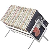 2BHOME Vinyl Record Storage Holder, Holds up to 90-110 LPs, Metal Vinyl Record Organizer Stand, S...