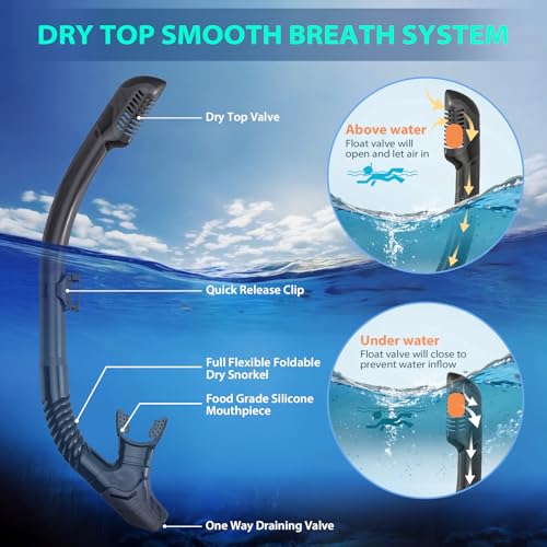 Dry Top Snorkel
