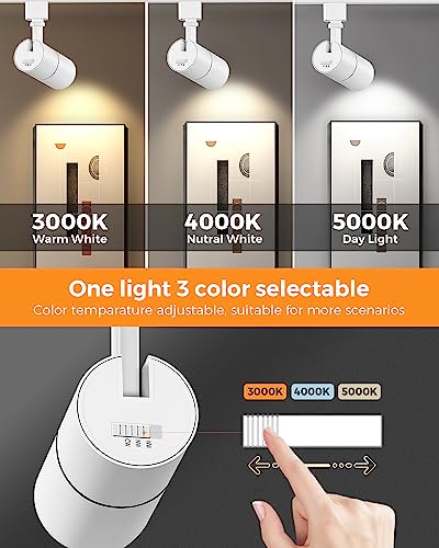 CRI90+ 15°-60° 1000lm White 4 Pack