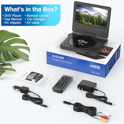 Car DVD Player