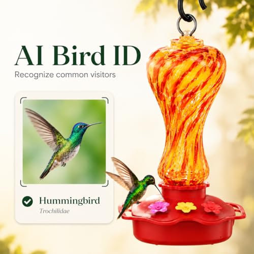Solar-Assisted Outdoor Bird Feeder