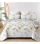 Dinjoy Queen Size Comforter Set Beige, 7 Pieces Boho Aztec Bed in a Bag Lightght Comforters Beddi...