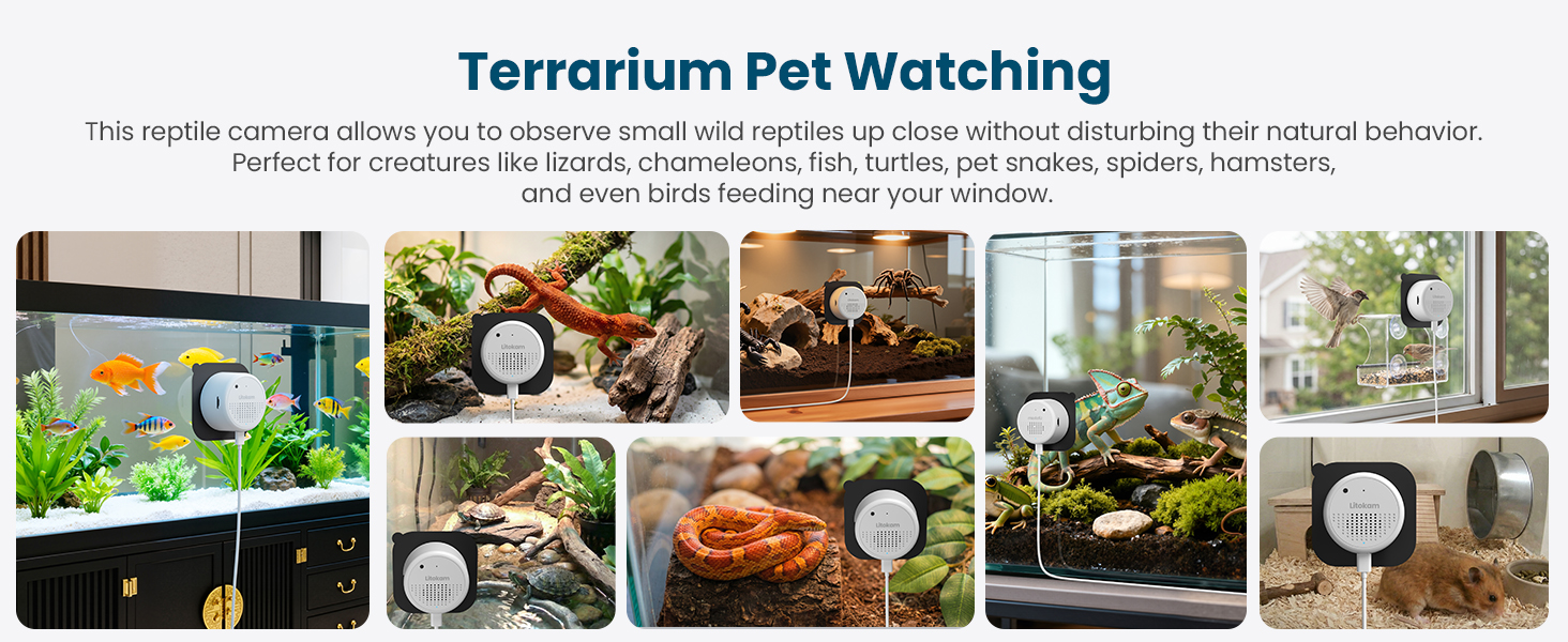 see my fish at night, reptile tank monitor, watch my lizard sleep, aquarium camera easy install