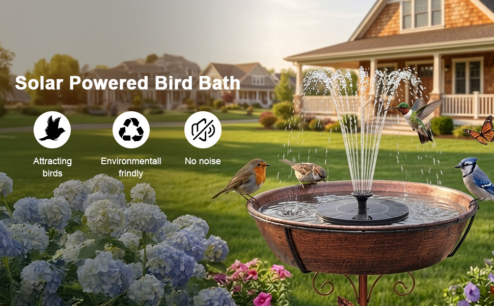 Solar bird bath