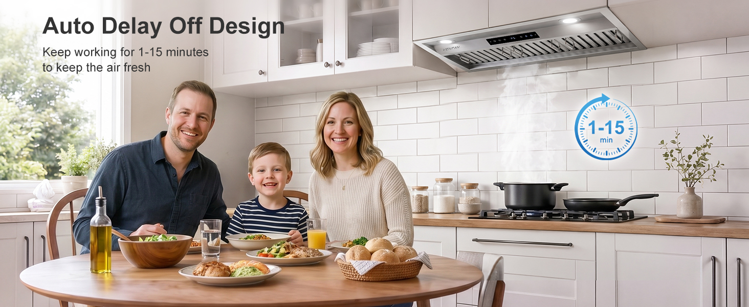 stainless steel range hood insert