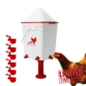 RentACoop 5 Gallon Chicken Waterer with 6 Auto-Fill Water Cups