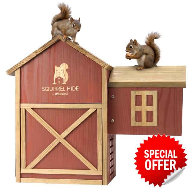 WildYard Squirrel House for Outside – Cedar Squirrel House & Squirrel Feeder Combo with Ladder | Dual-Chamber Squirrel Nesting Box for Squirrels