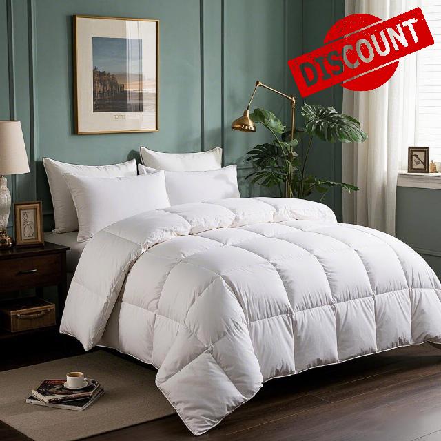 Serta Goose Feathers Down Fiber Comforter Twin Size Duvet Insert