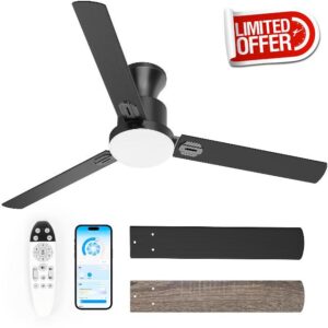 Obabala Ceiling Fans with Lights
