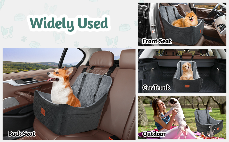 Enjoy the joy of the journey with your puppy at ease!
