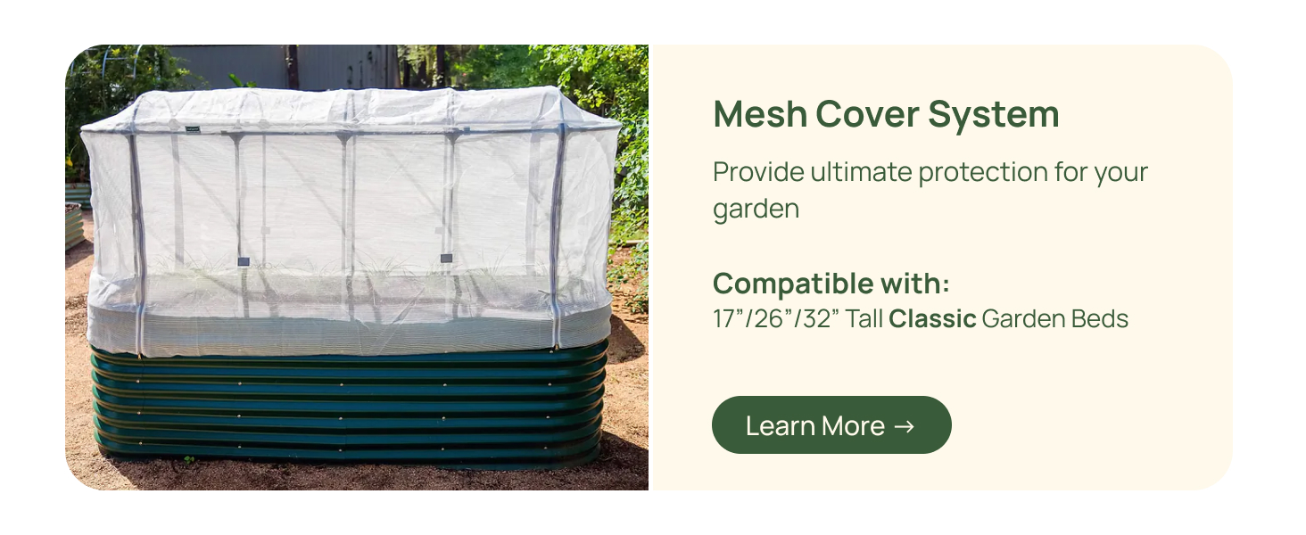 Mesh Cover