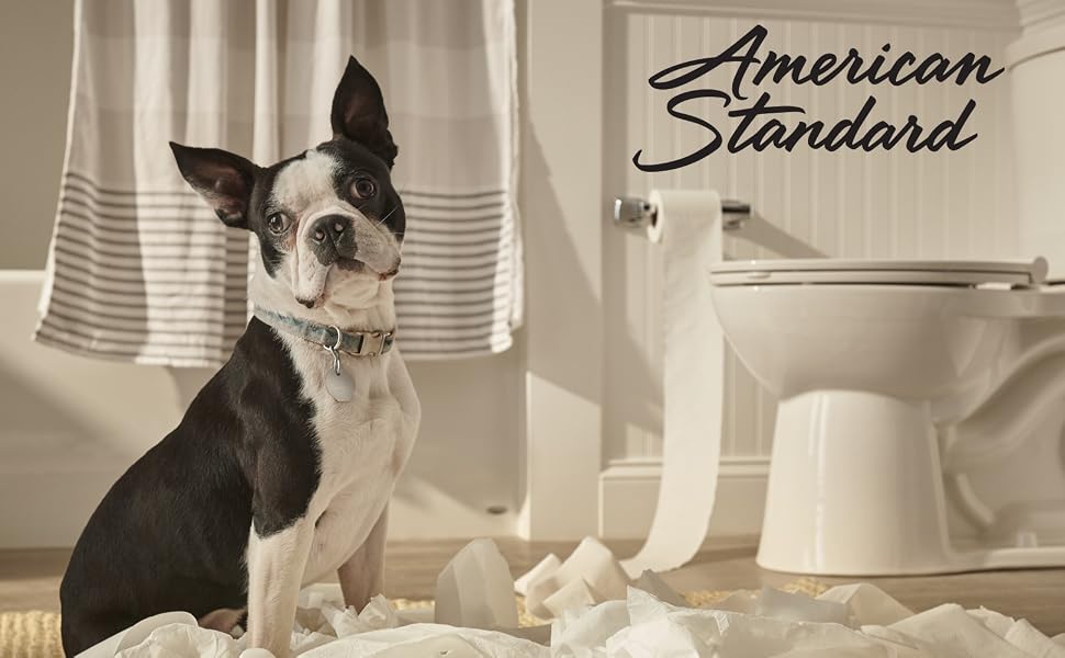 American Standard