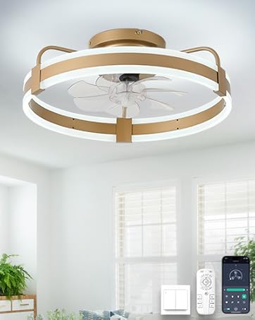 Ceiling Fan with Light,