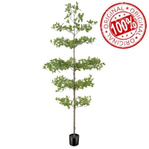 FEELEAD Artificial Black Olive Tree 6ft – Faux Shady Lady Tree with Natural Wood Branches & Realistic Green Leaves