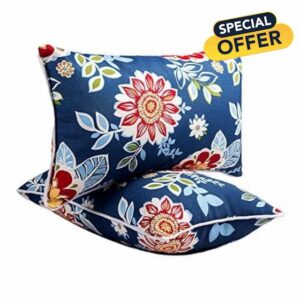 Outdoor Lumbar Pillows - Decorative Pillows with Insert Included Set of 2 Outdoor Pillows for Patio Furniture 12x20 Inch