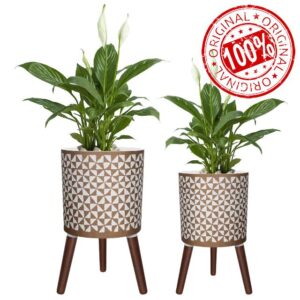 10 & 12 Inches Plant Pot with Stand
