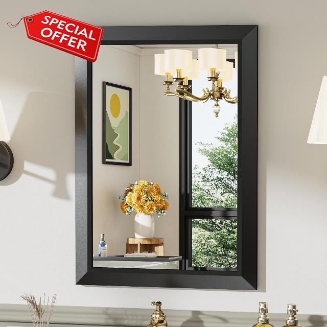 Briivue 20x28 Inch Black Bathroom Mirror for Wall