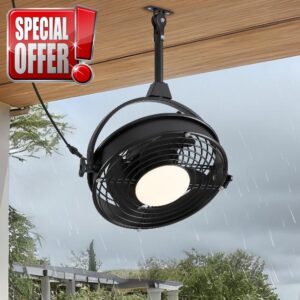 20" Outdoor Ceiling Fan with Lights