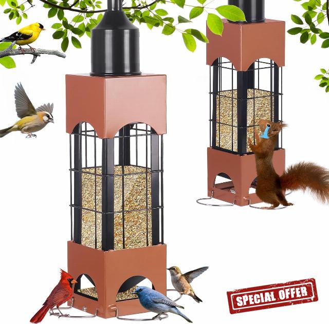 Squirrel Proof Bird Feeders for Outdoors Hanging