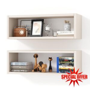 Kaboon 24in Floating Cube Shelves Set of 2