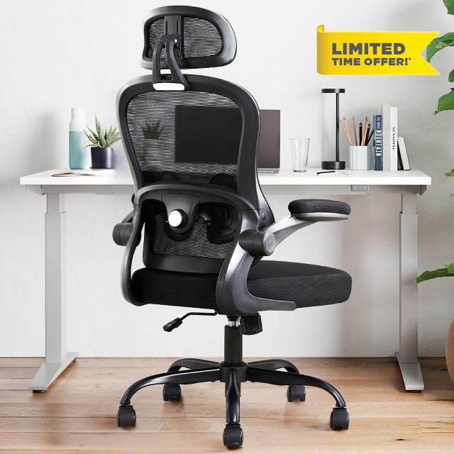 Ergonomic Office Chair