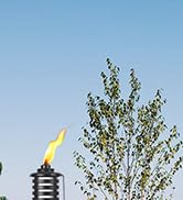 garden torches
