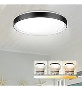 DLLT Pendant Light Metal