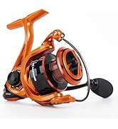 Fishing Rod