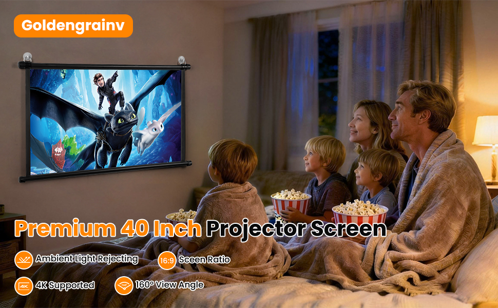 projector screen for car