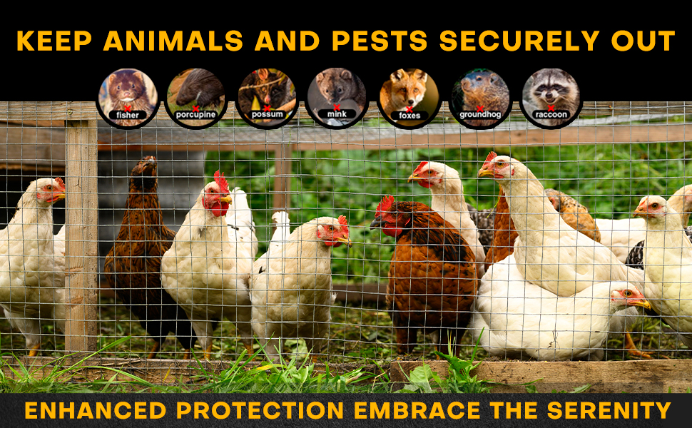 ENHANCED PROTECTION