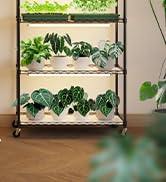 plant light for indoor plants