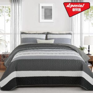 Dinjoy Black White Boho Quilt Set Queen