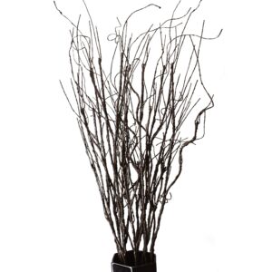 FeiLix 10PCS Lifelike Curly Willow Branches Decorative Dried Artificial Twigs