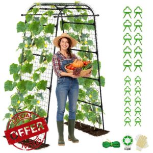 Heavy Duty Garden Arch Trellis for Climbing Plants