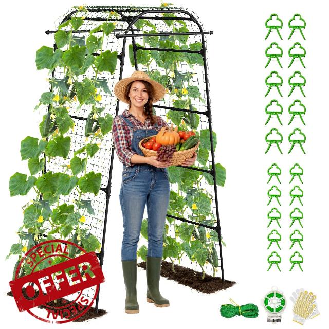 Heavy Duty Garden Arch Trellis for Climbing Plants