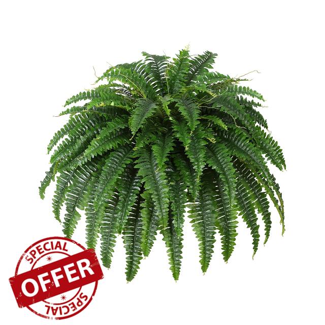 Dkaltm Single Silky Artificial Boston Fern Bush