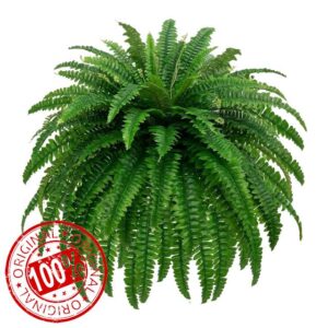 GYERB 48" Large Artificial Boston Fern Plants for Outdoor Indoor