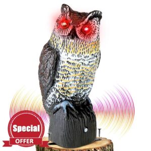 Ruolan Plastic Owl
