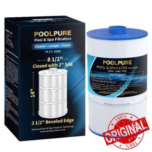 POOLPURE Replacement Filter for Sundance 6540-501