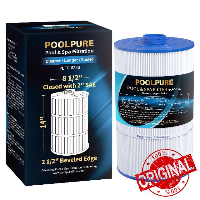 POOLPURE Replacement Filter for Sundance 6540-501
