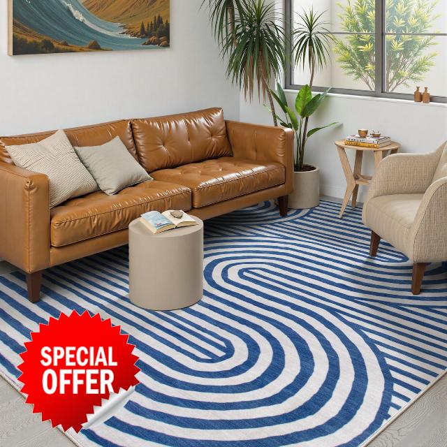 Lahome Modern Washable Area Rugs 5x7