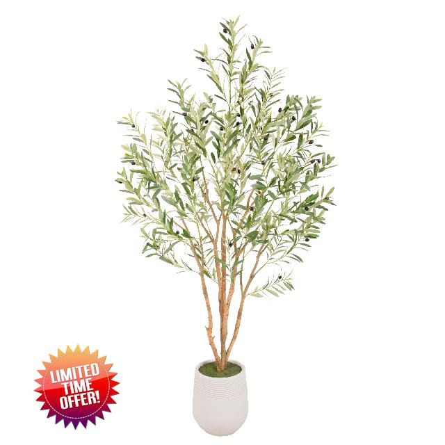 Bellacat 6ft Super Fuller Faux Olive Tree with White Decorative Planter & Multiple Real Wood Trunks