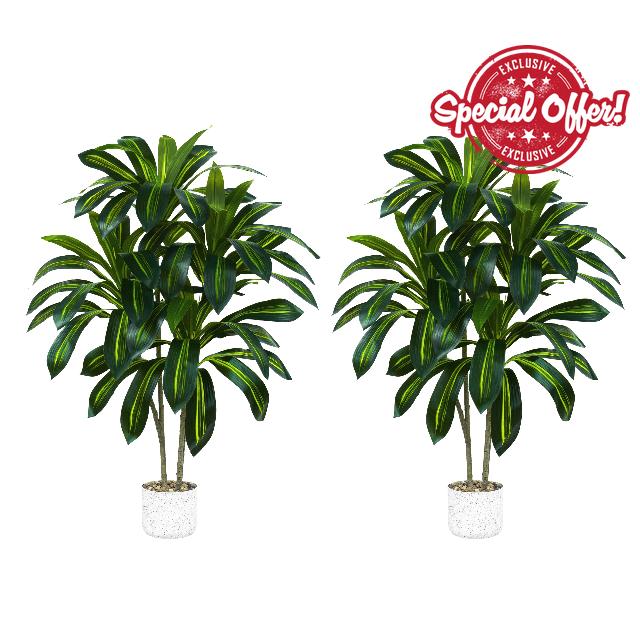 2 Pack Artificial Dracaena Tree Indoor