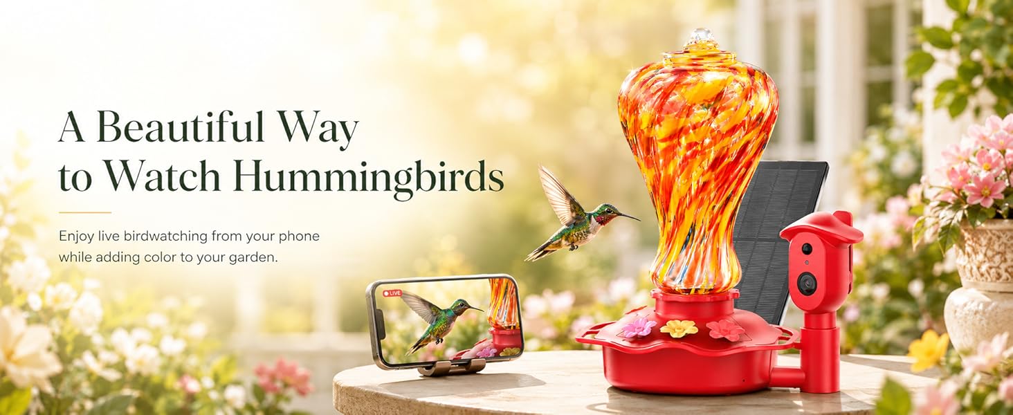 Smart Glass Hummingbird Feeder with Camera