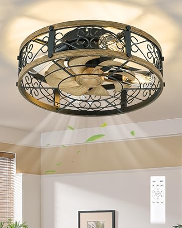 Caged Ceiling Fan with Light